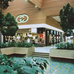 SUBURBAN NEEDS