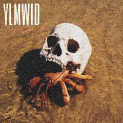 YLMWID - BLIND.SEE