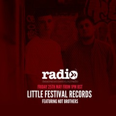 Little Festival Records Podcast - Not Brothers