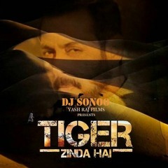 Tiger Zinda Hai - Theme ( Sonoo Remix )   Official Audio