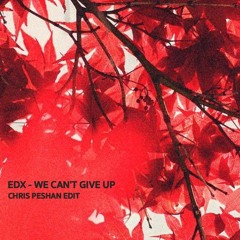 EDX - We Can't Give Up (Chris Peshan Edit)