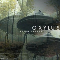 Dandelions Flight preview