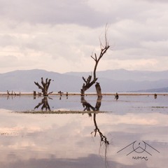 Mente Orgánica - Interno Eterno