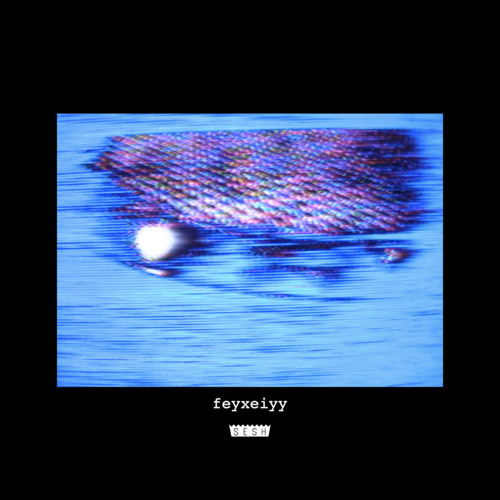 feyxeiyy [album] ft. cat soup