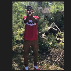 Skitzo-Missing Old Dayz