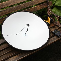 Parabolic Microphone (50cm dish with HMN Sound MicroLav) Canada Goose!