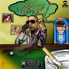 ÑENGO FLOW - TEMES