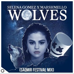 Selena Gomez & Marshmello - Wolves (SaQmir Festival Mix)