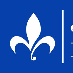 Capsule 2 Jaser français : Verbe avoir (suite)