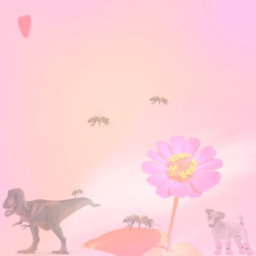 hawaii // prod.saxon