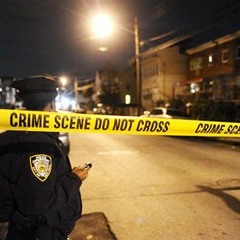 NoLoveFred X Dook 2x - Mental Society