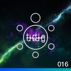 turtletheory - [016]