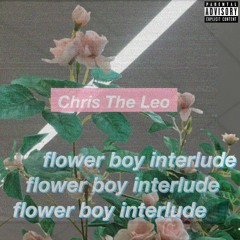 flower boy interlude