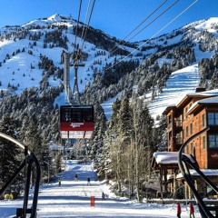 Shred the Gnar