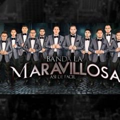 Banda La Maravillosa - El Gallito (Onzas o Libros)