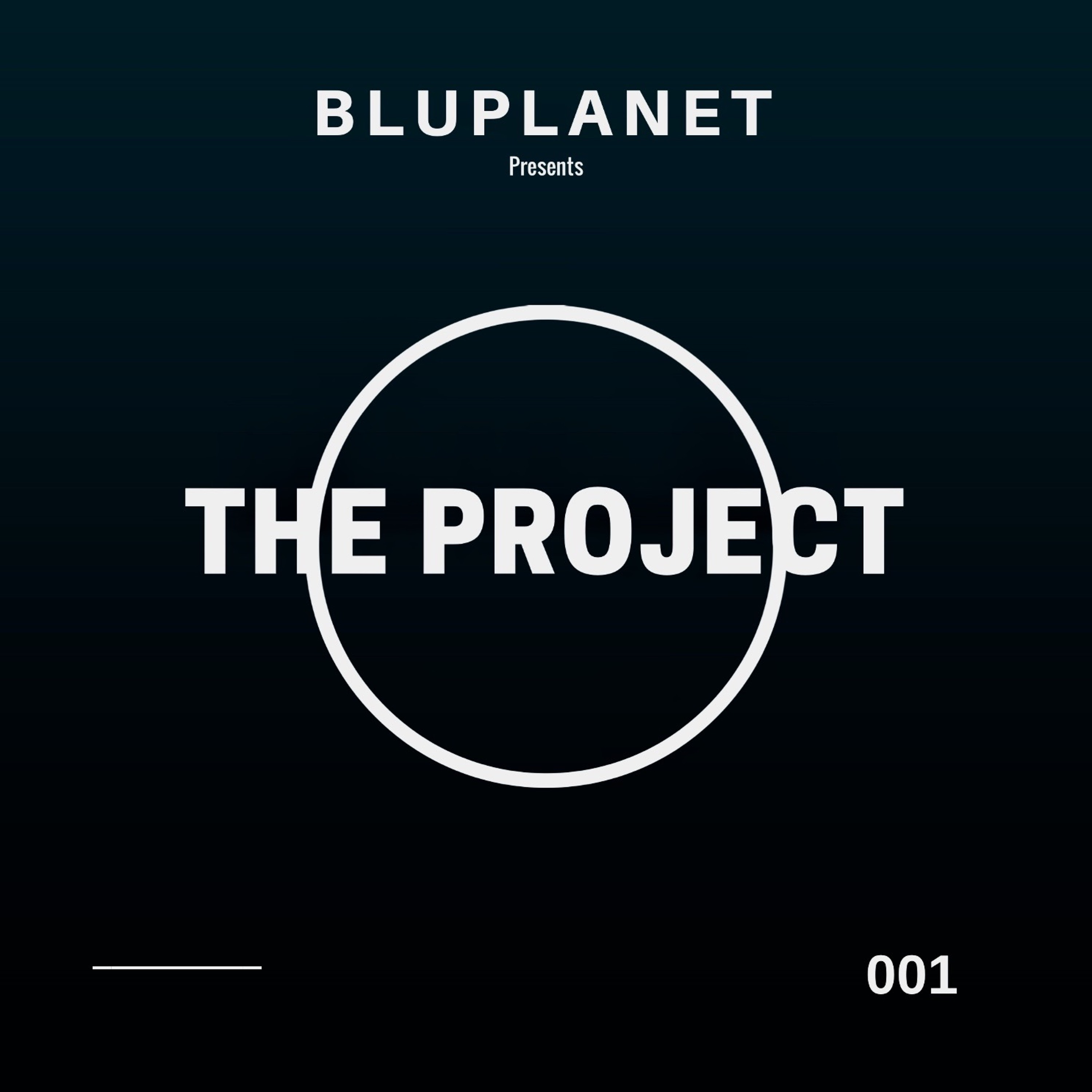 The Project Sessions