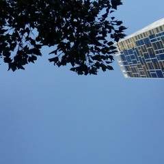 Le Gentil & The Transit of Venus - Rob Scallon (GUITAR COVER)