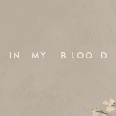 Shawn mendes - In My Blood ACAPELLA