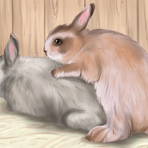 MC PEDRIN DO ENGENHA - TO IGUAL COELHINHO [ DJ JEAN DU PCB ] KAKAKAKA