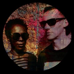 A1. Shinedoe - Acidploitation
