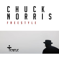 Chuck Norris Freestyle