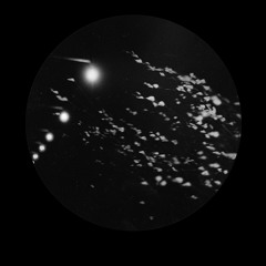 [BT28CHR02] Automat - The Invisible