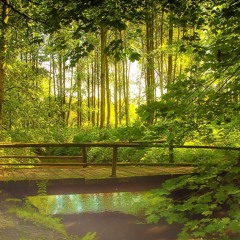 Rebbe Nachman - The Gift of Forgetfulness - Rabbi Shlomo Katz