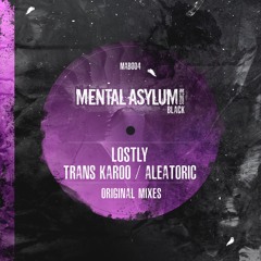 Trans Karoo (Original Mix)