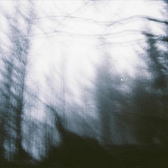 Komorebi (Excerpt)  - 雲仙岳 Mt. Unzen Demo