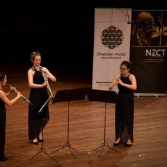Trio for two oboes and cor anglais