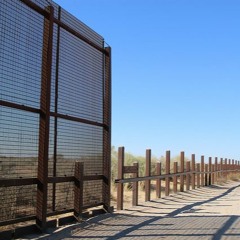 Ananya Roy & Nicholas De Genova on migration, borders, and freedoms