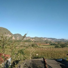 rawdubbyjam