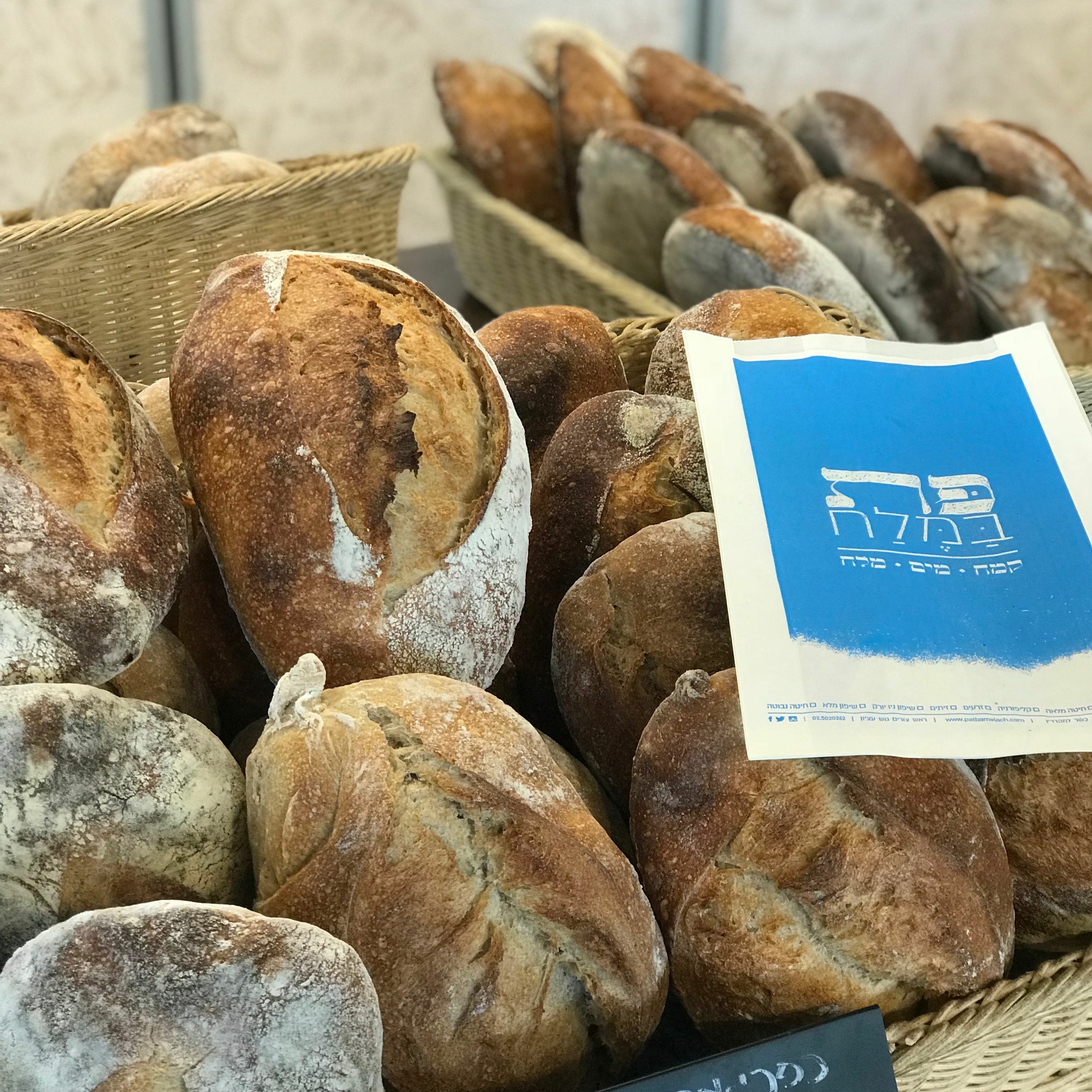 BITE SIZE - Behind the Fun In Jerusalem