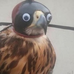 XXX edgy wednesdays XXX