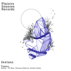 Tamez - Sextans (Hicky & Kalo Remix)