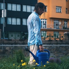 Der Traurige Gärtner - Hitzewelle (Radio Edit) FREE DOWNLOAD