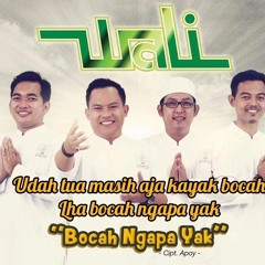 Wali - Bocah Ngapa Yak (Cover)