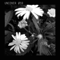 UN #59 Skinny D