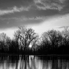 Steve Gerard & Joe Phillips - String Bean