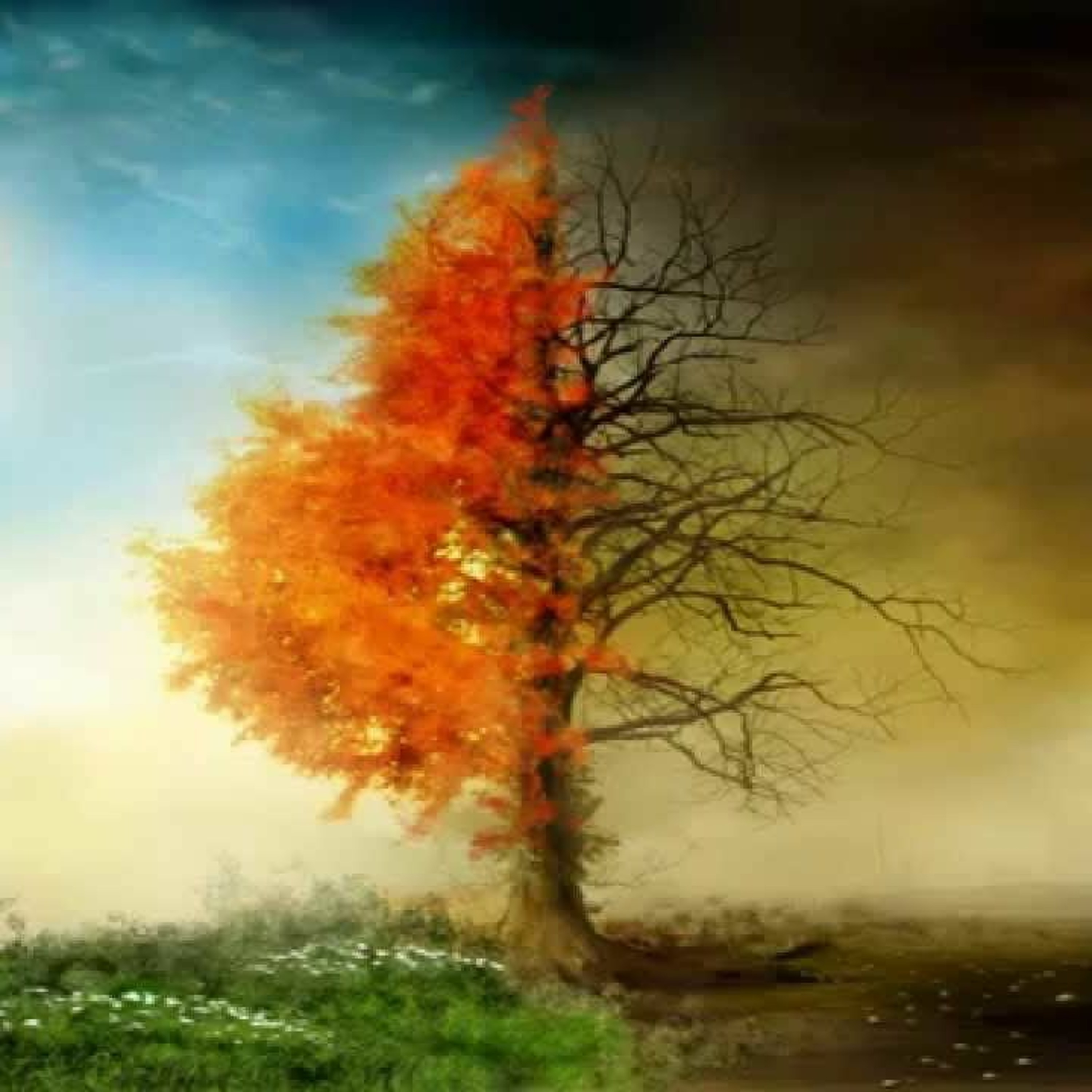 Esphyxia - Modern Nature episode artwork
