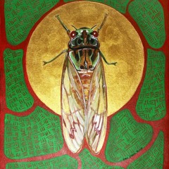 cicada 3301