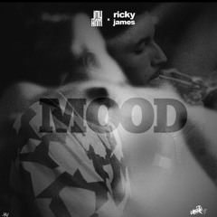 Jay Ham Ft Ricky James - Mood