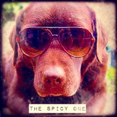 The Spicy One