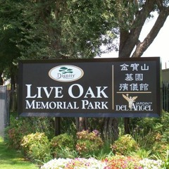 BadAzzCapon3x - Live Oak