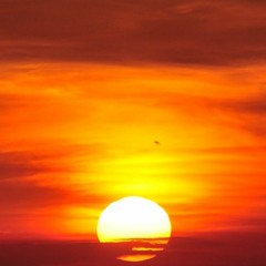 Rise