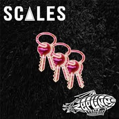Scales & Zeplinn - Catching Keys