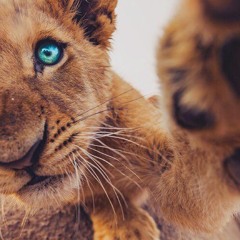 SuperVillains (prod. by Mantra)