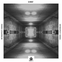 SINNF - Introspect