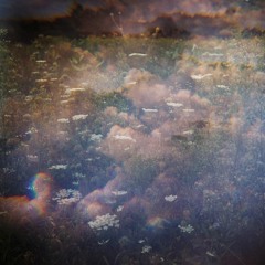 Baron's Thoughts Pts. 1 & 2 (from Life Is Meaningless | Clouds Are Beautiful)