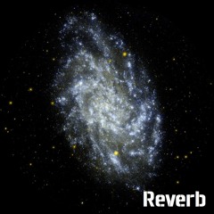 Reverb 05